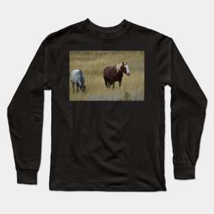 Wild Bachelor Stallions Long Sleeve T-Shirt